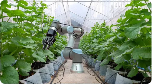 Agricultureindustry